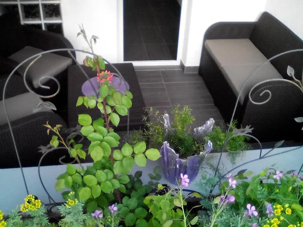 Apartment Poropat Porec