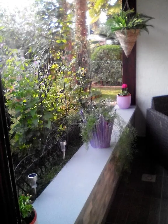 Apartment Poropat Porec 0*,